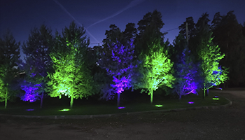 цветная подсветка деревьев rgb ландшафтное освещение сада