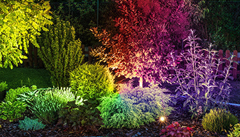 цветная подсветка растений rgb освещение сада