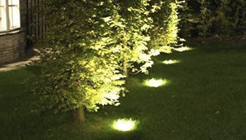 грунтовые светильники подсветка кустарников