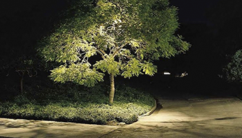 освещение дерева у дороги на участке