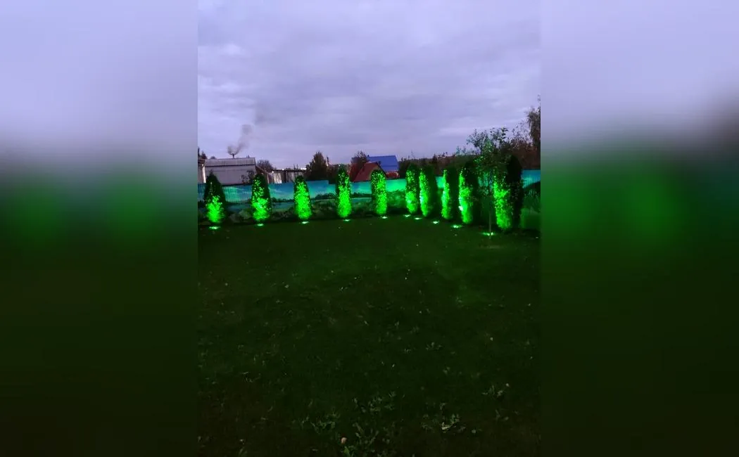 Подсветка туй на участке