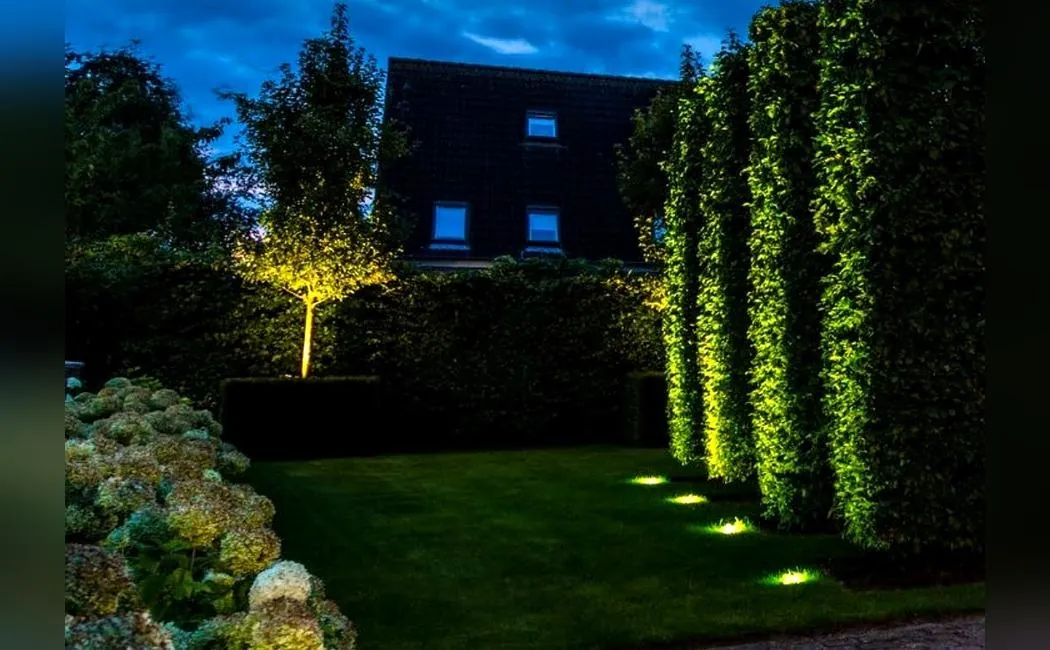 Подсветка сада